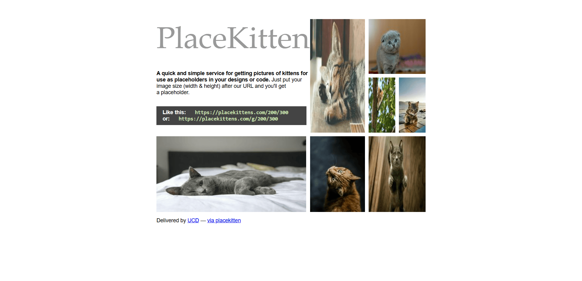 Placekitten