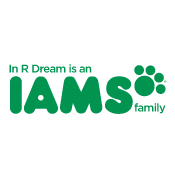 Iams Home 4 the Holidays { #PGmom @IAMS }
