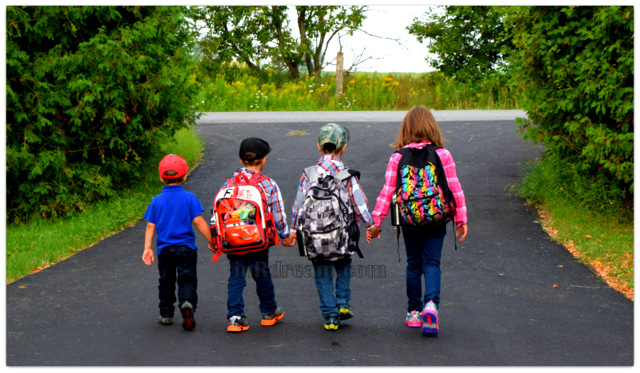 Back to School Dreaming