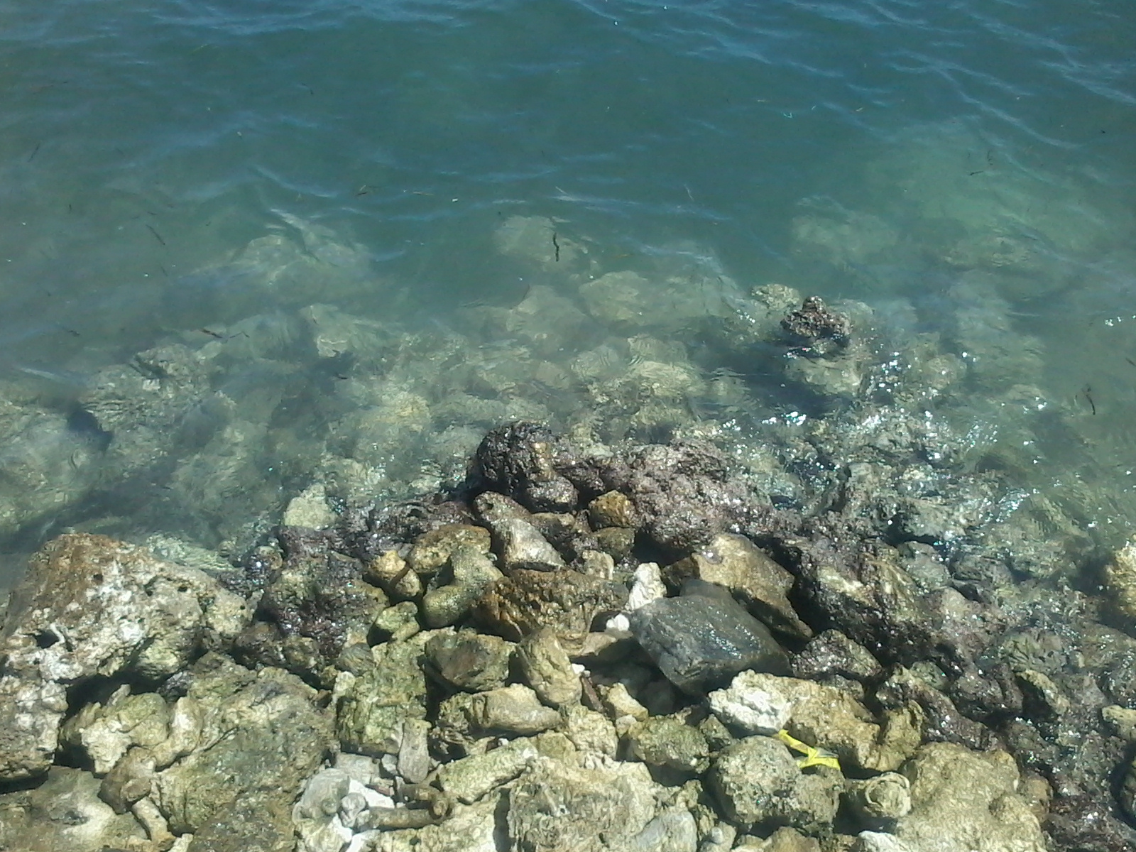 20140614_110501