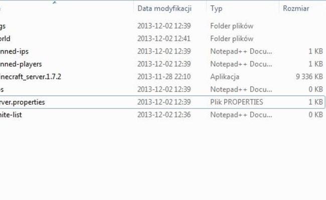 Setting Up A Minecraft Server: Step-by-Step Guide For Multiplayer Fun ...