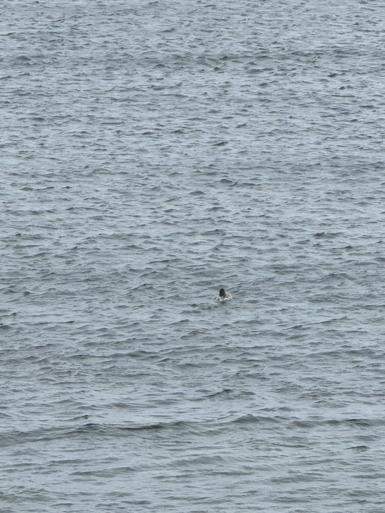 Inishmore - September - 2024