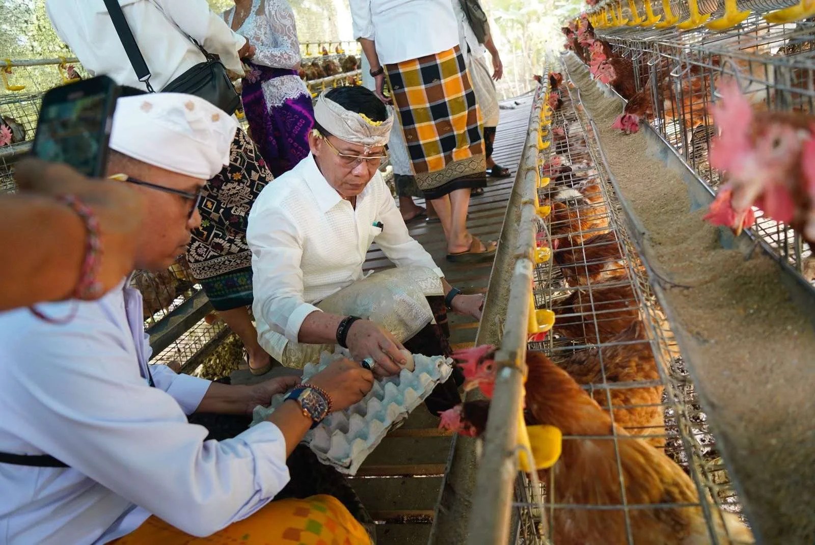Bupati Klungkung I Made Satria saat meninjau peternakan ayam petelur milik warga di kawasan Rumah Deret Santhi Rahayu.