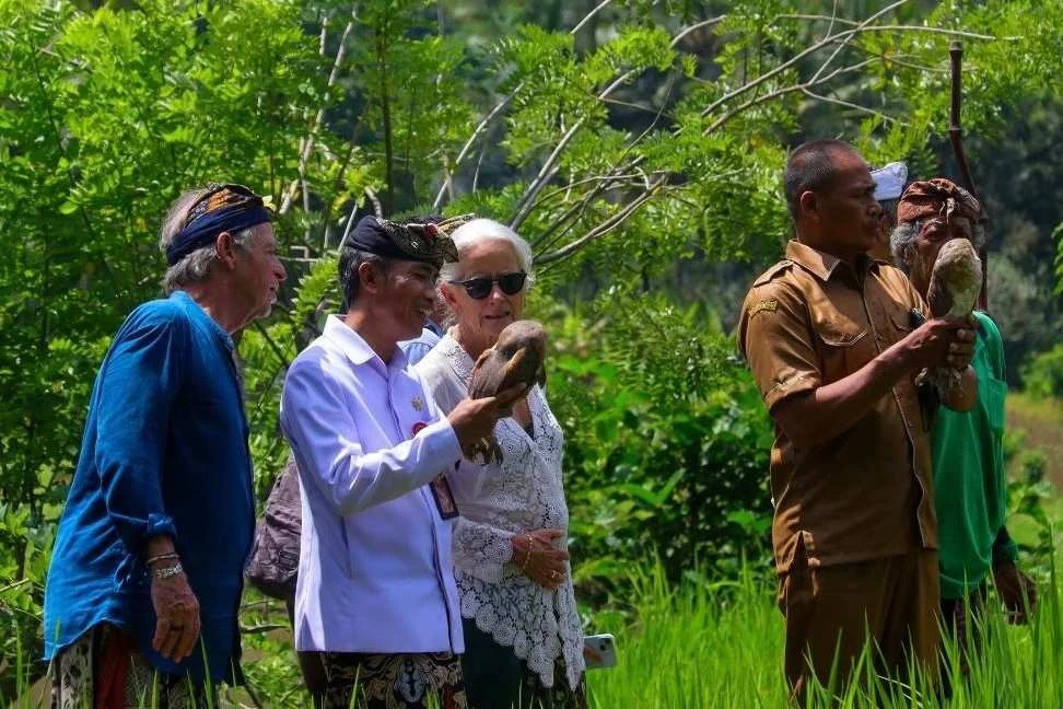 Pelepasan burung hantu Tyto alba oleh keluarga John Hardy dan tokoh masyarakat Bongkasa sebagai pengendali hama tikus alami.
