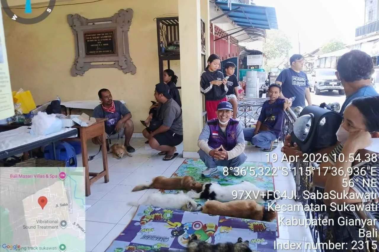 Petugas medis UPTD Puskeswan III Gianyar sedang memberikan vaksin rabies kepada anjing peliharaan warga dalam rangka HUT Gianyar ke-225.