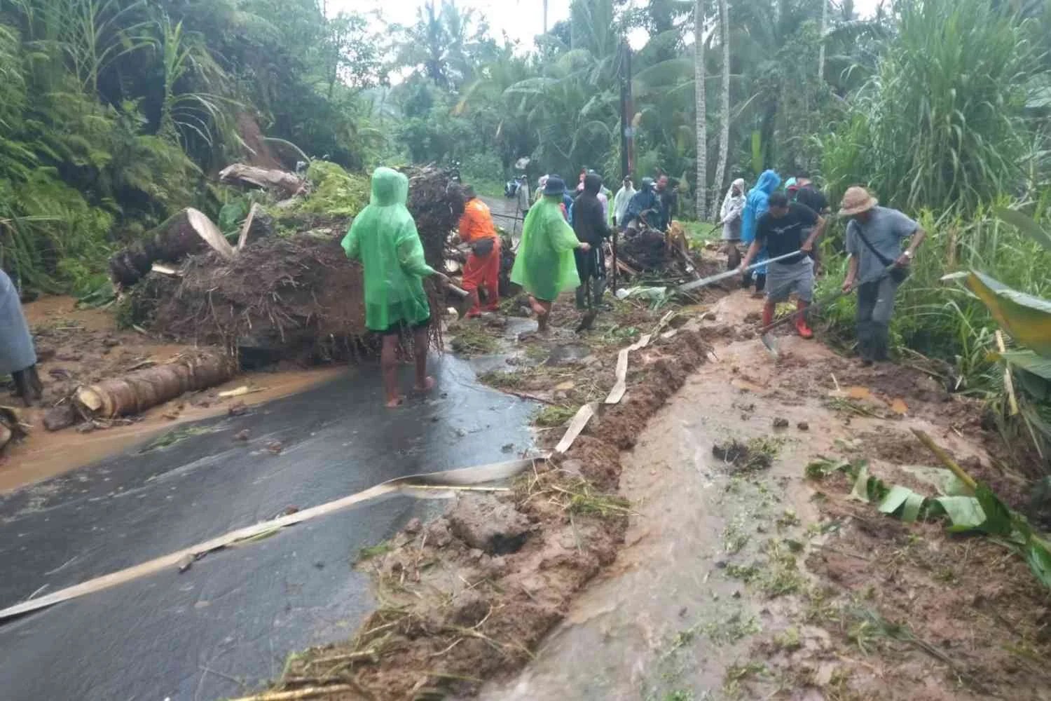 Personel Babinsa bersama puluhan warga Desa Kedisan saat bergotong royong membersihkan material longsor di Jalan Raya Cebok.