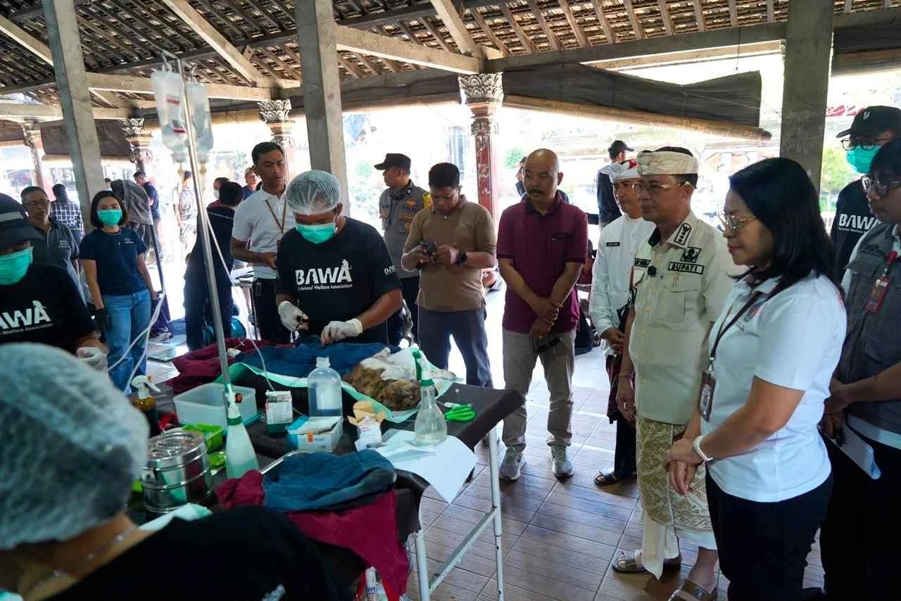 Cegah Penyebaran Rabies, Bupati Satria Minta Vaksinasi Hewan Peliharaan Digencarkan di Setiap Desa
