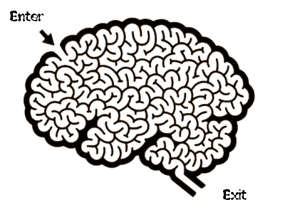 labyrinth-brain