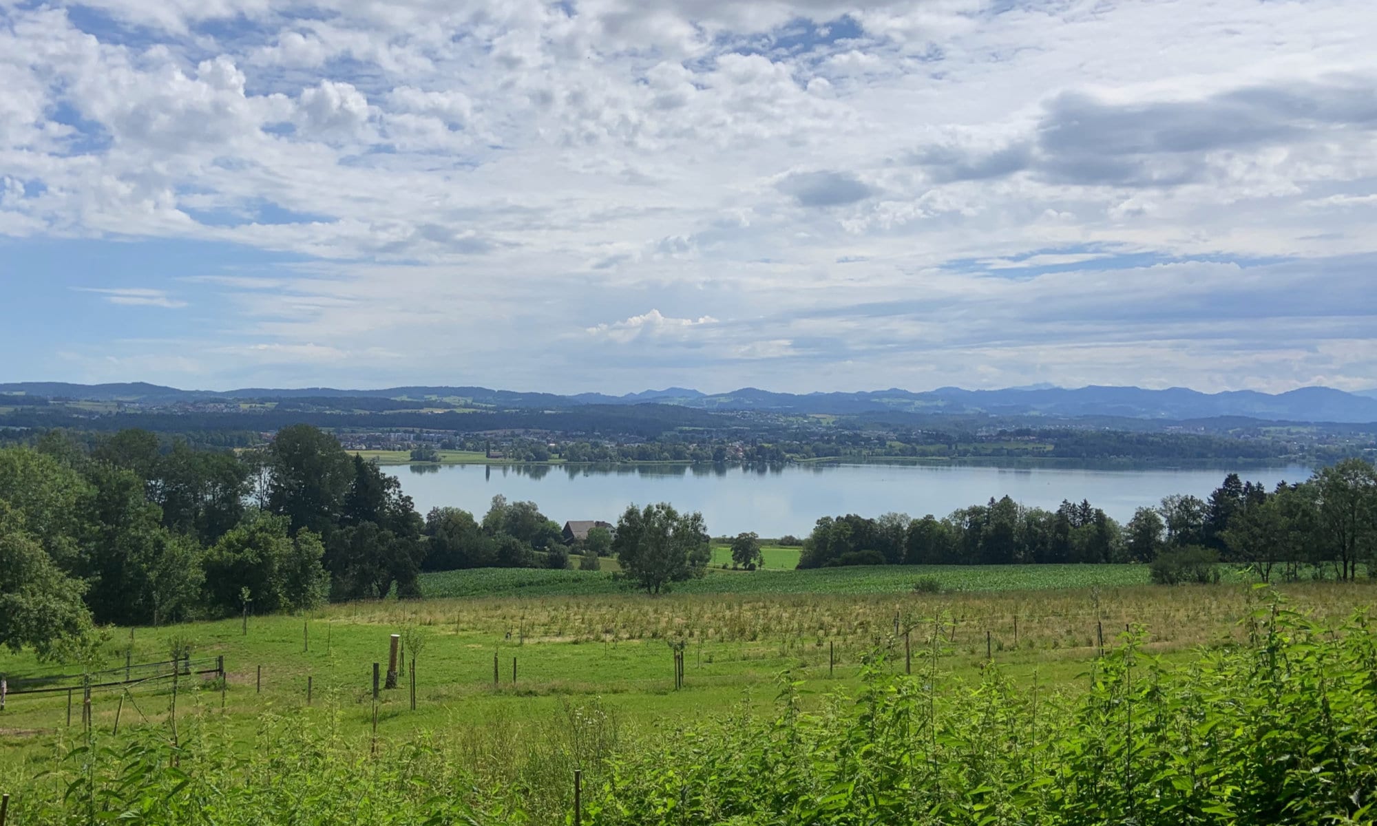 Vor allem vulnerable personen sollen baldmöglichst den . Zwei zusÃ¤tzliche Boosterimpfzentren im Kanton ZÃ¼rich