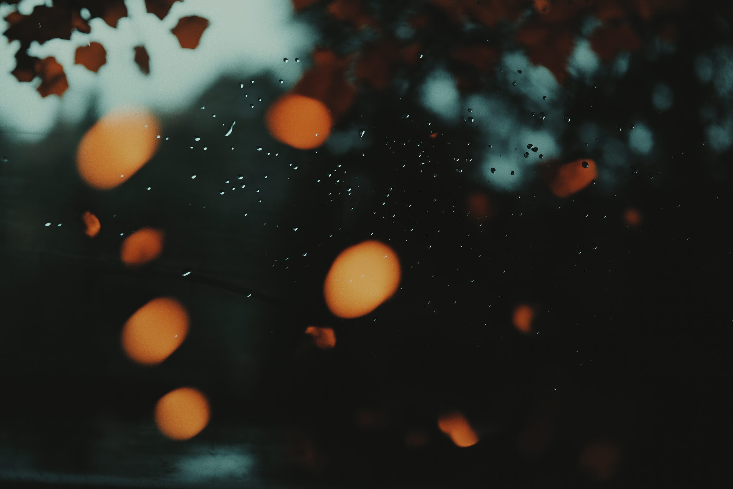 Swarm Robotics: Unlocking Transformative Potential for Medical and Essential Human Services