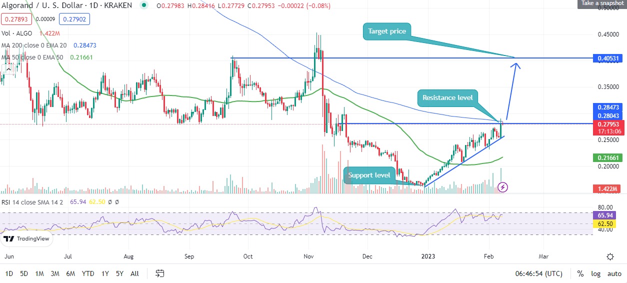 Algo price prediction
