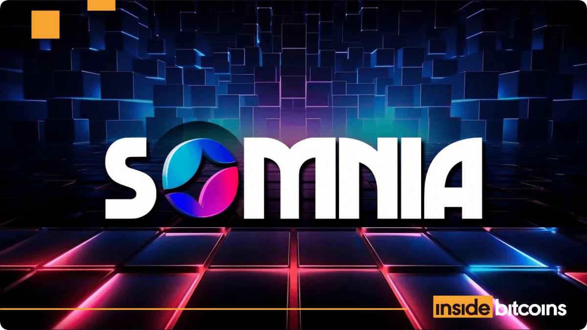 NFT Marketplace Raarable adds support for Somnia NFTs