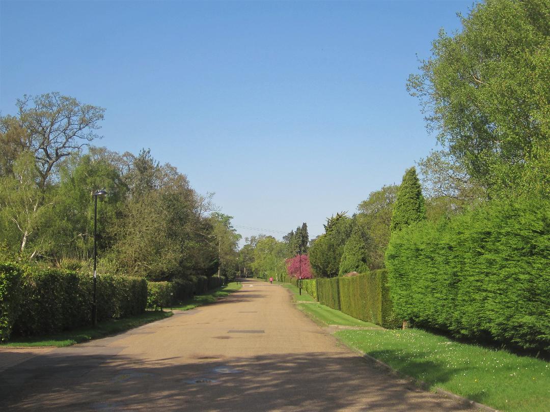 Walk and the loneliness of the ‘paper’ candidate Inside Croydon