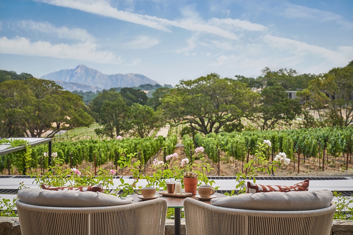 Vineyard hotel harvest season