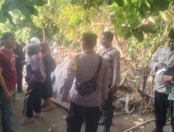Tabrakan Maut Jalan Lintas Benete – Maluk 1 Orang Tewas Ditempat