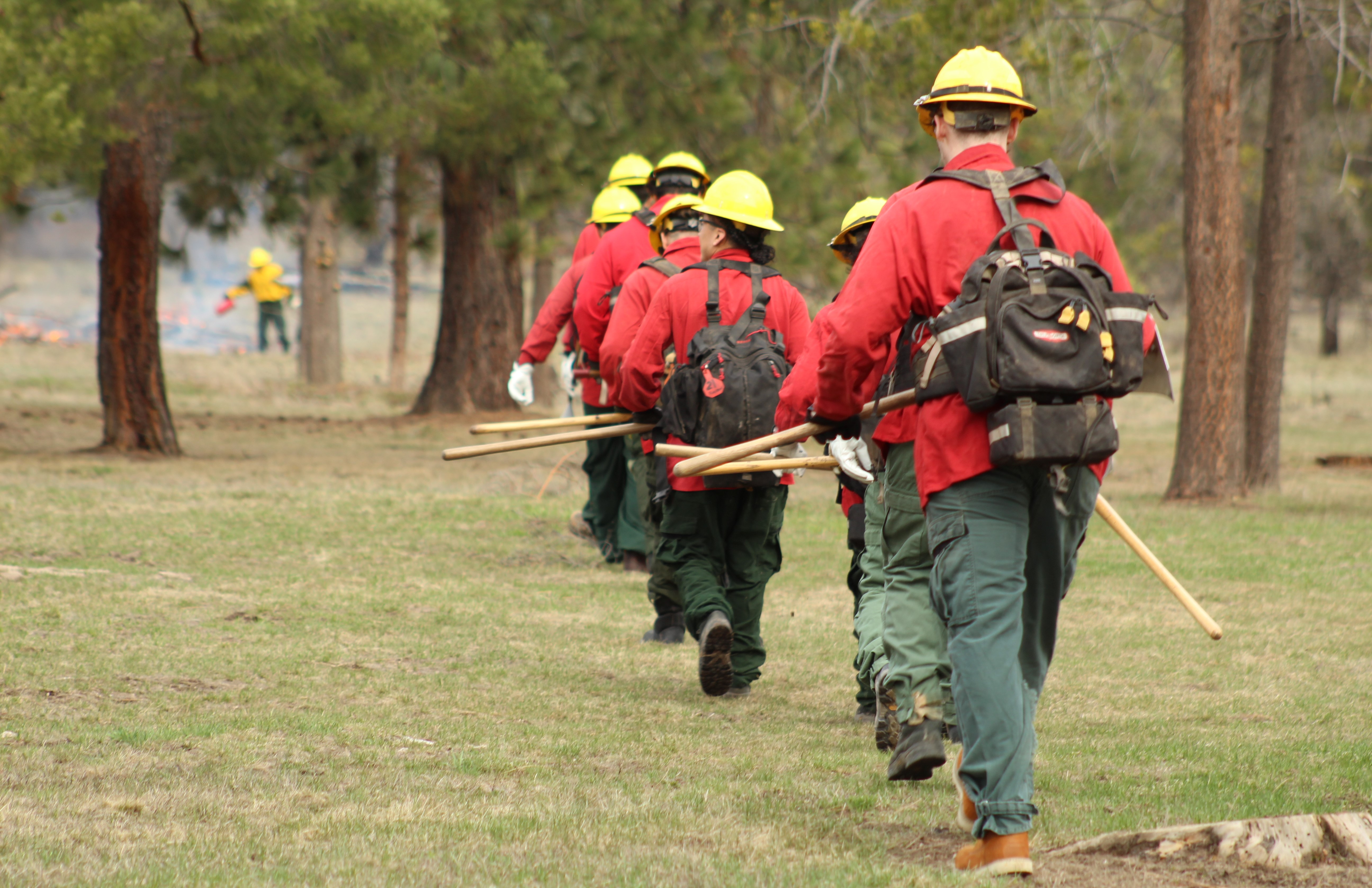 A line of students wearing firefighting gear walks toward trees