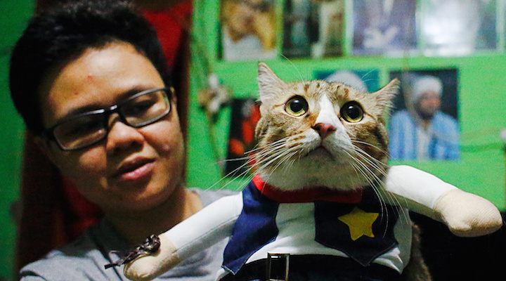 Indonesia S New Fashion Craze Cosplay For Cats Inside Retail