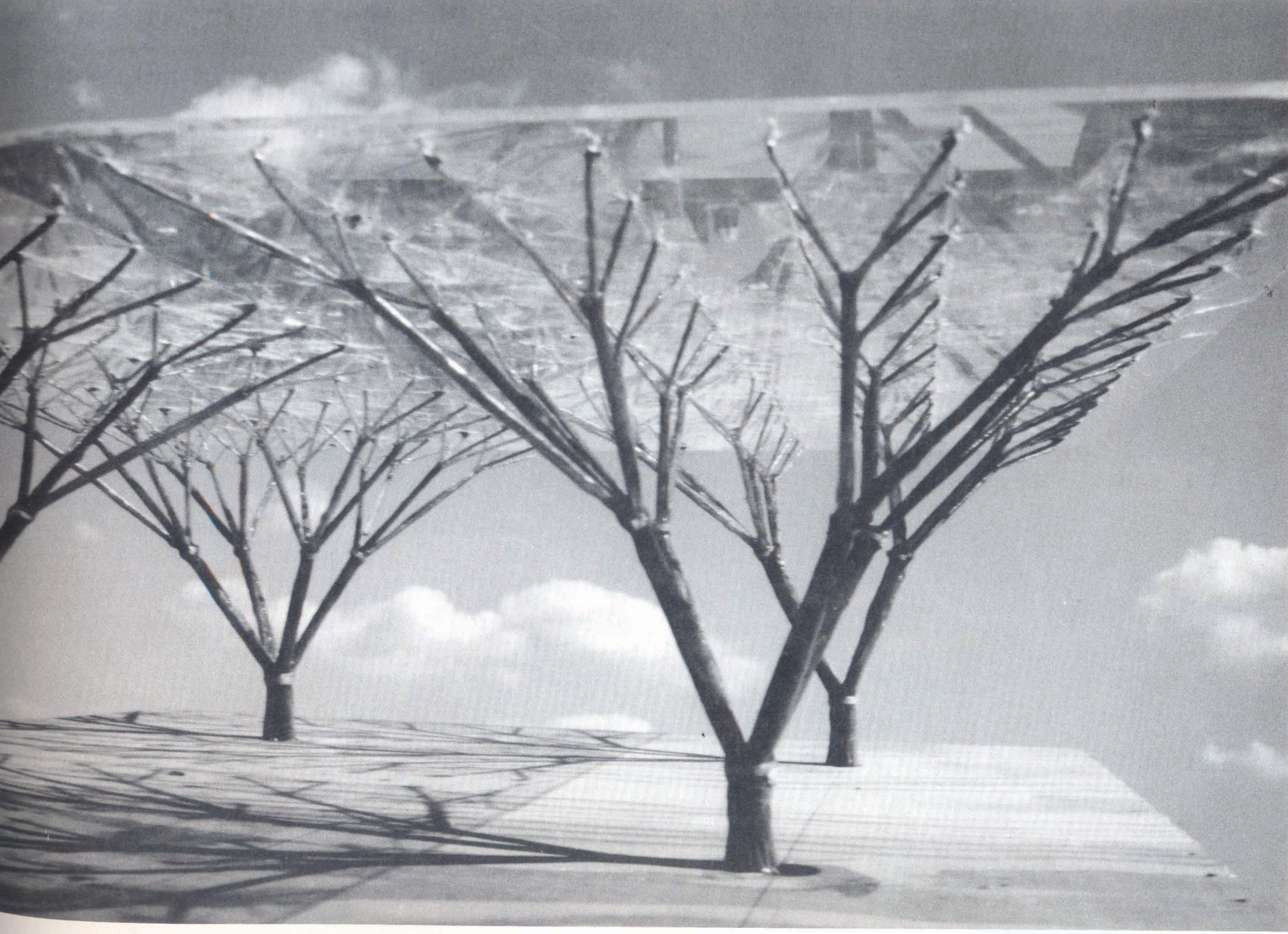 ‘Tree-like’ branching columns, inspired by the structural finesse of Frei Otto’s work.