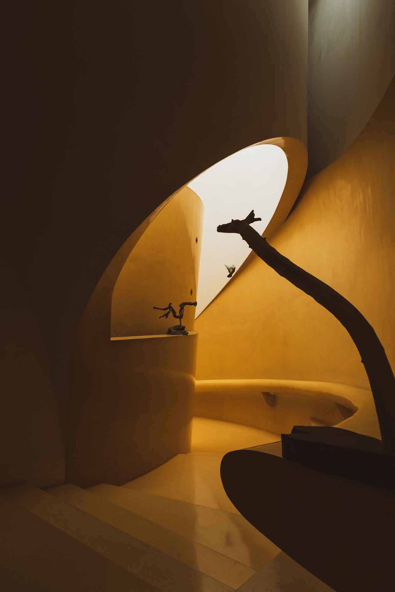 Objects in Photography