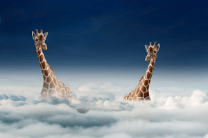 SAP-ERP-on-Cloud.png