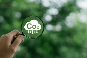 SAP-Green-Ledger.png
