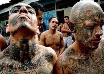 Hidden Meanings Of Honduras Mara Gang Tattoos Explained 250_x_350_jpg