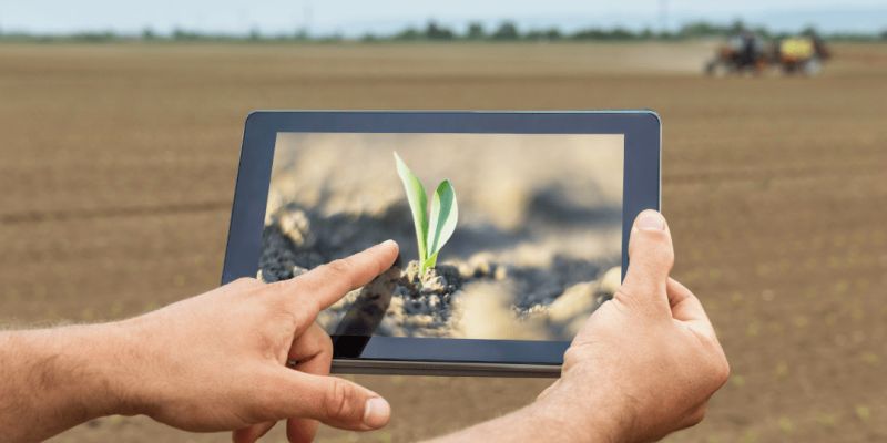 App And Web Application Development And Agritech Solutions - Modern Landscape Pattern - High Resolution