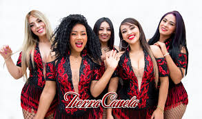 Tierra Canela