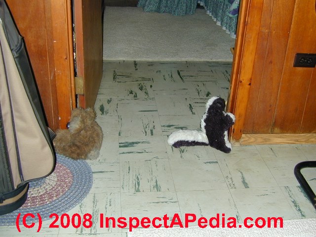 Signs Of Mold Under Hardwood Floors And How To Remove It Floor Care Kits Signs Of Mold Under Hardwood Floors And How To Remove It Floor Care Kits