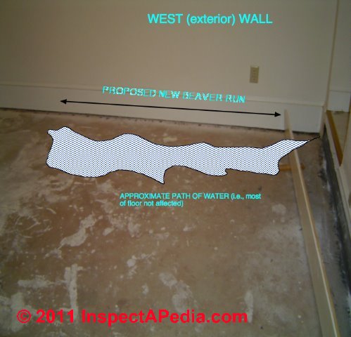 water damage cleanup