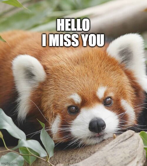 Funny hello memes