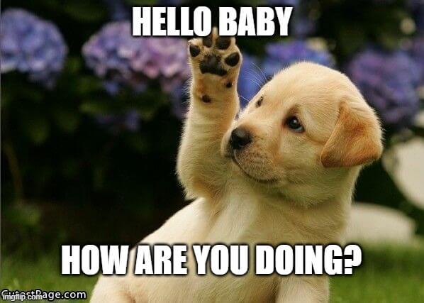 40 hello memes to help break the ice