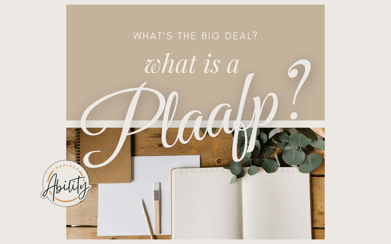 What is a PLAAFP?