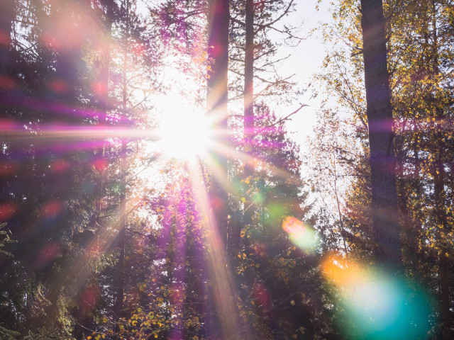 sun