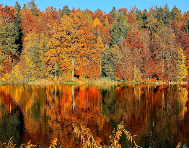 fall