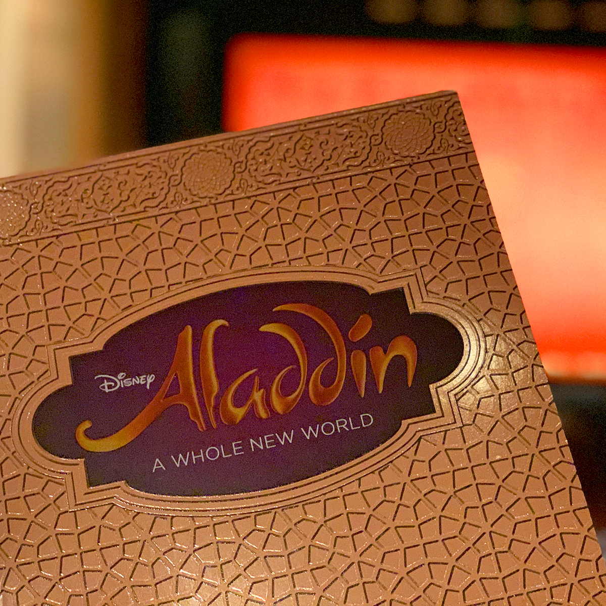 Aladdin Program