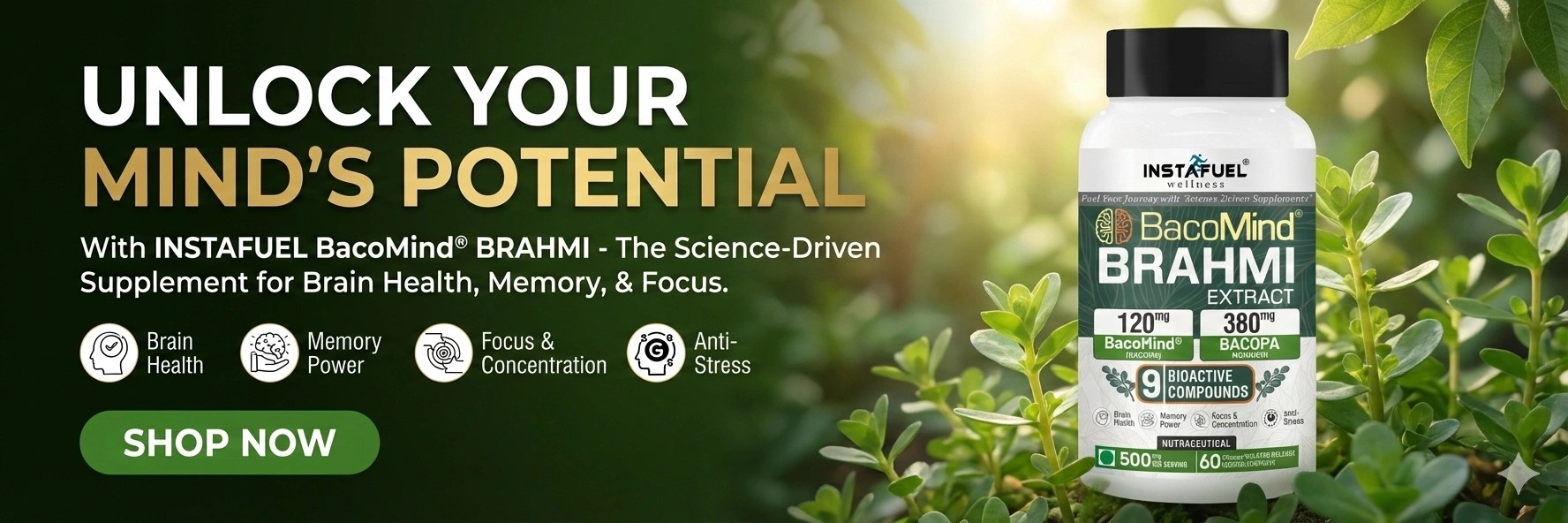 BacoMind Font Banner_Desktop