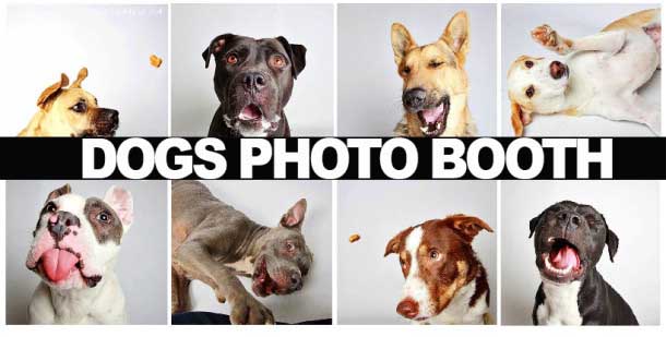DOGS-PHOTOBOOTHjpg