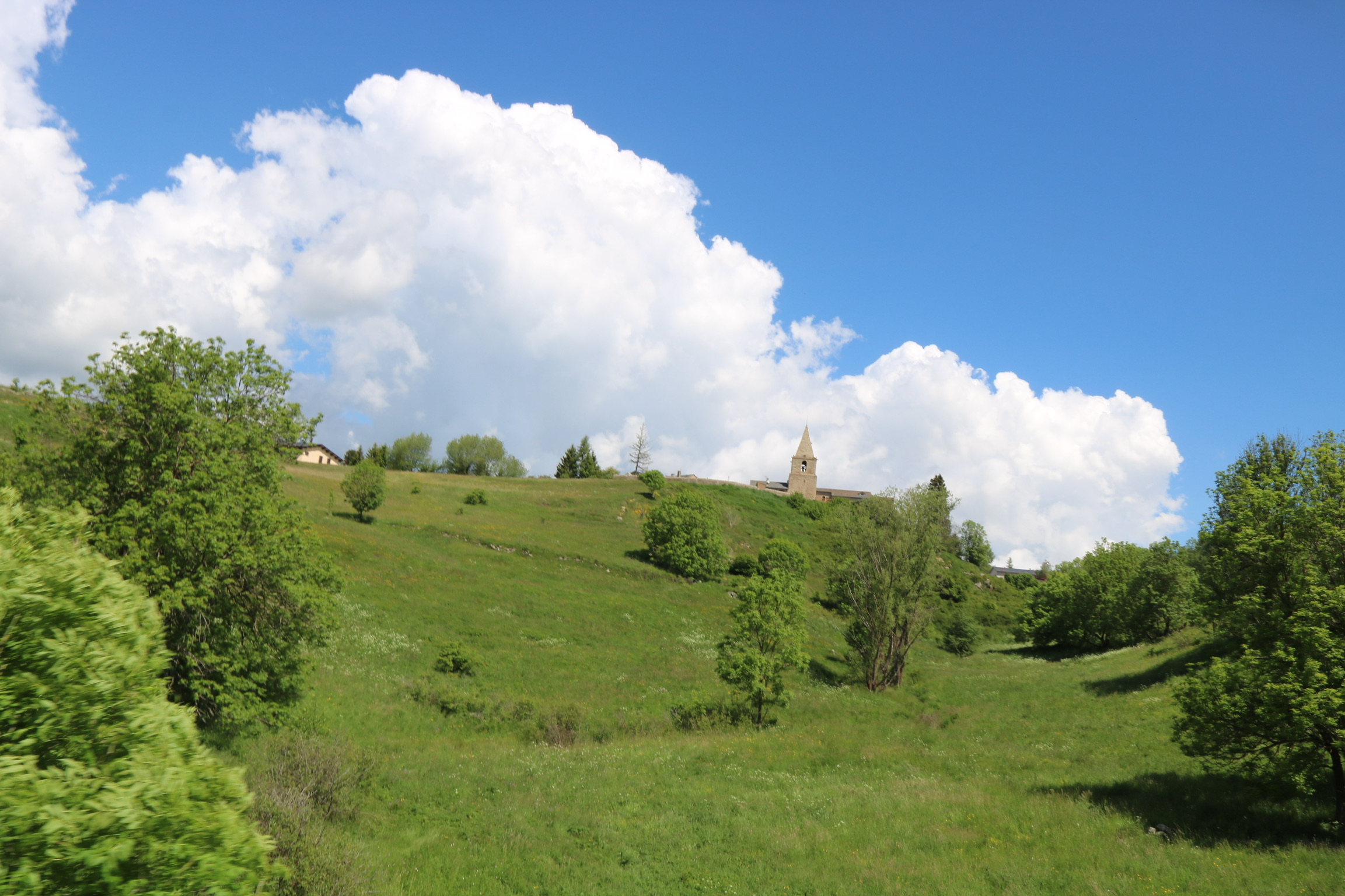 08D3E8FA-B166-4077-B8FE-ACBA374E131D