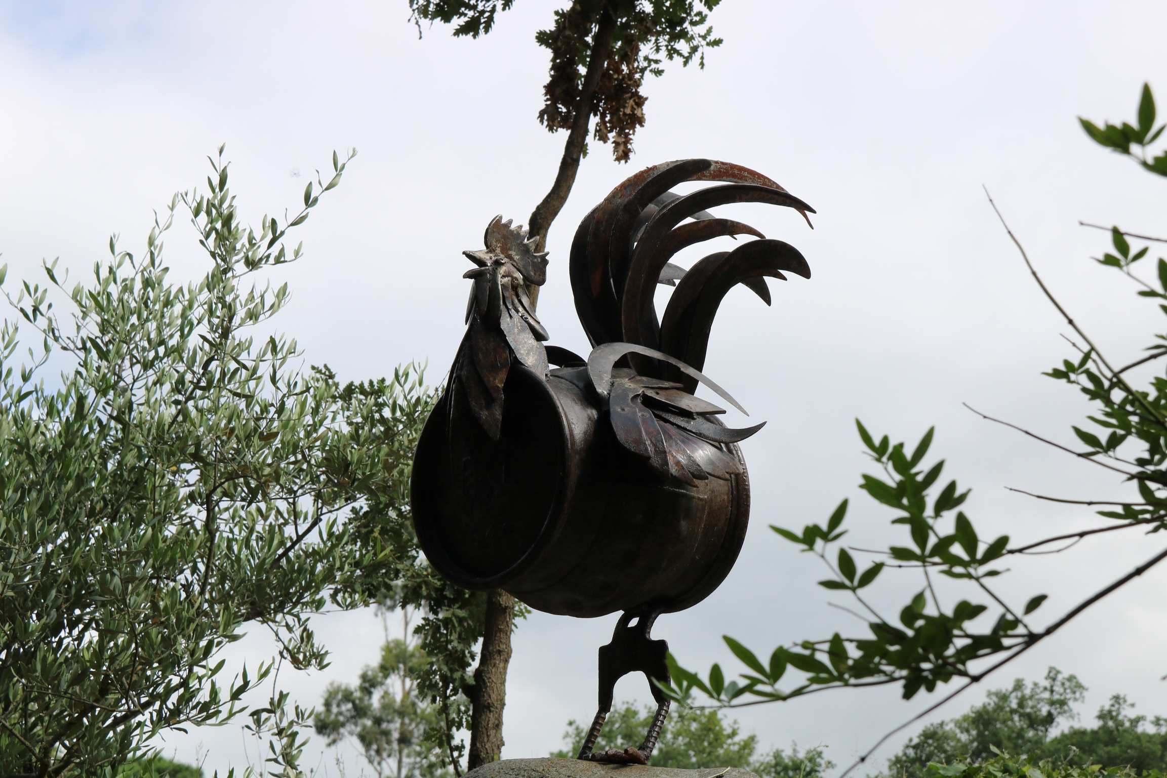 8AEC2D5F-EC40-4F17-BB14-9D4302875DC6