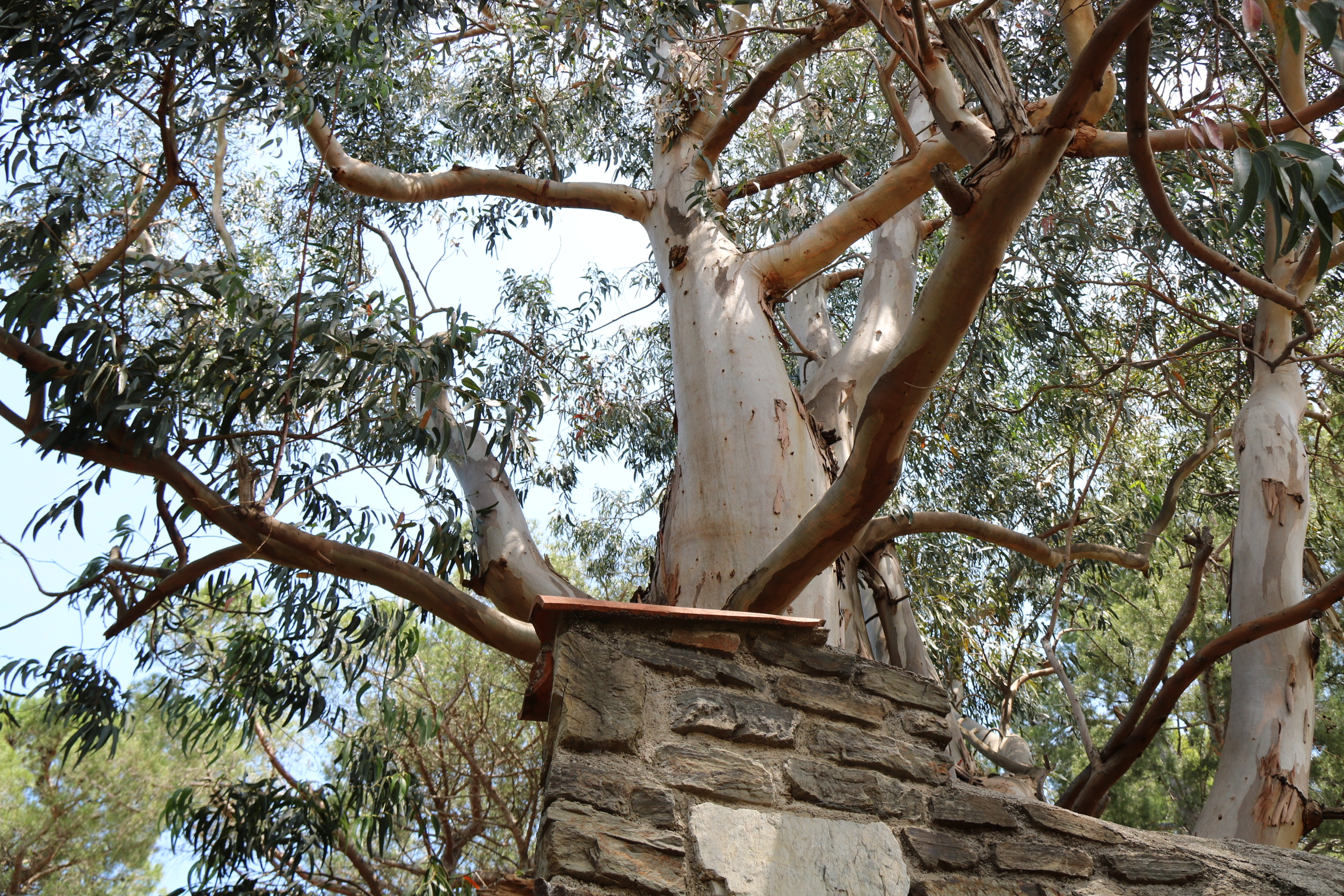 B2629CDC-E013-4970-B002-1139CBF3496B