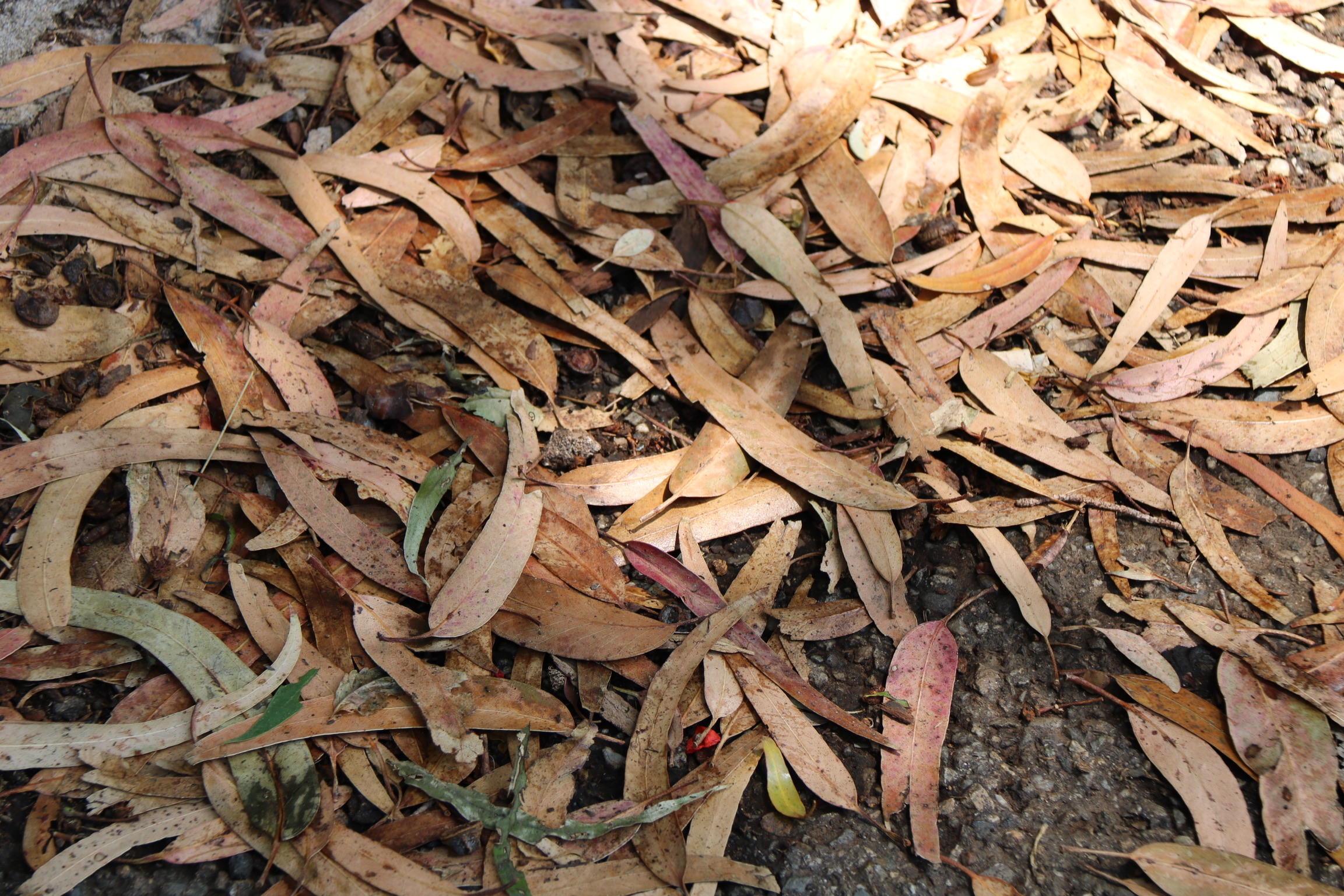 B48FBB1C-E7CF-4AEB-8926-AC40B95B515C