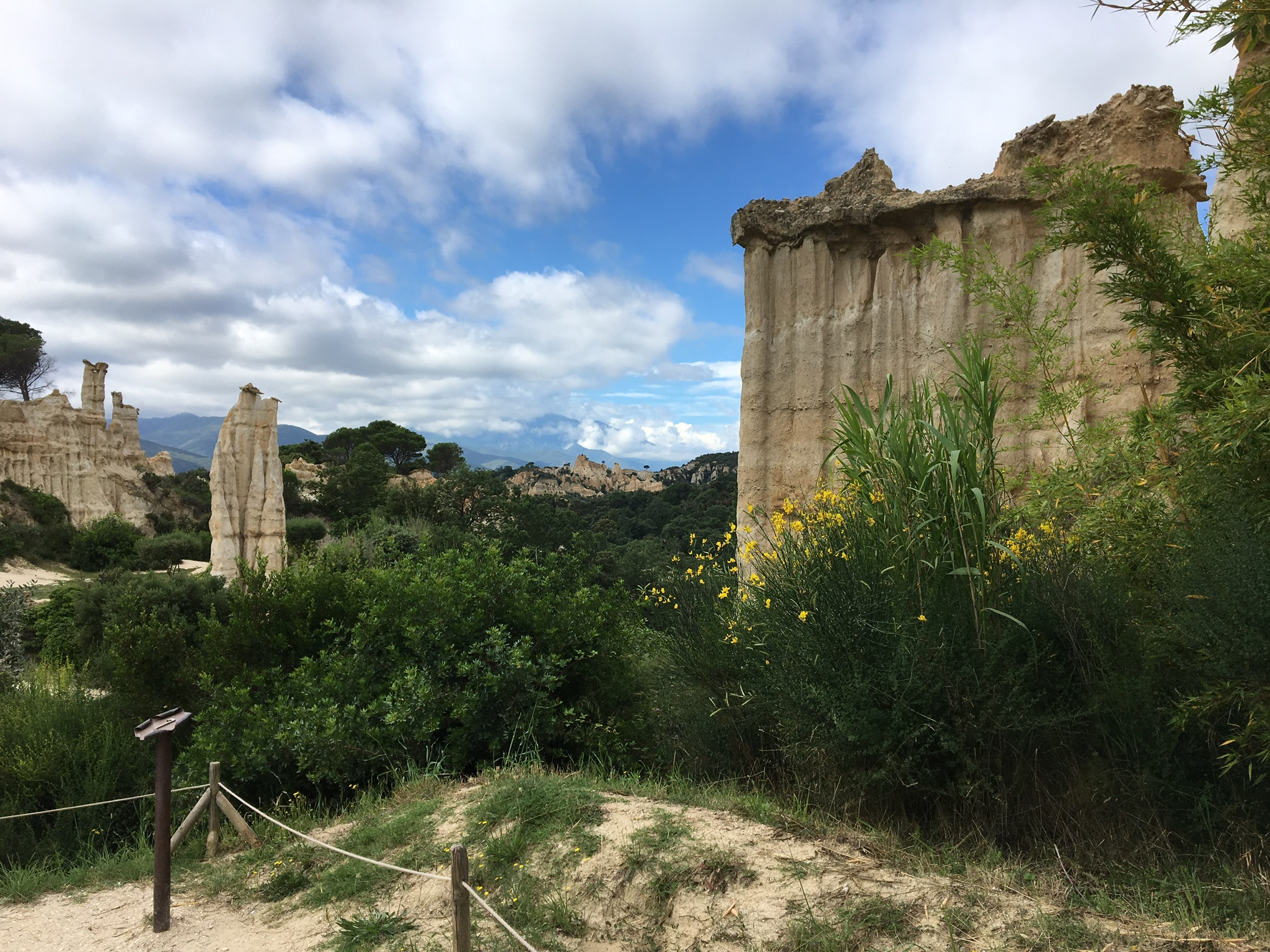 B7587DDF-E7C0-4680-828E-E4AC9AFD382C