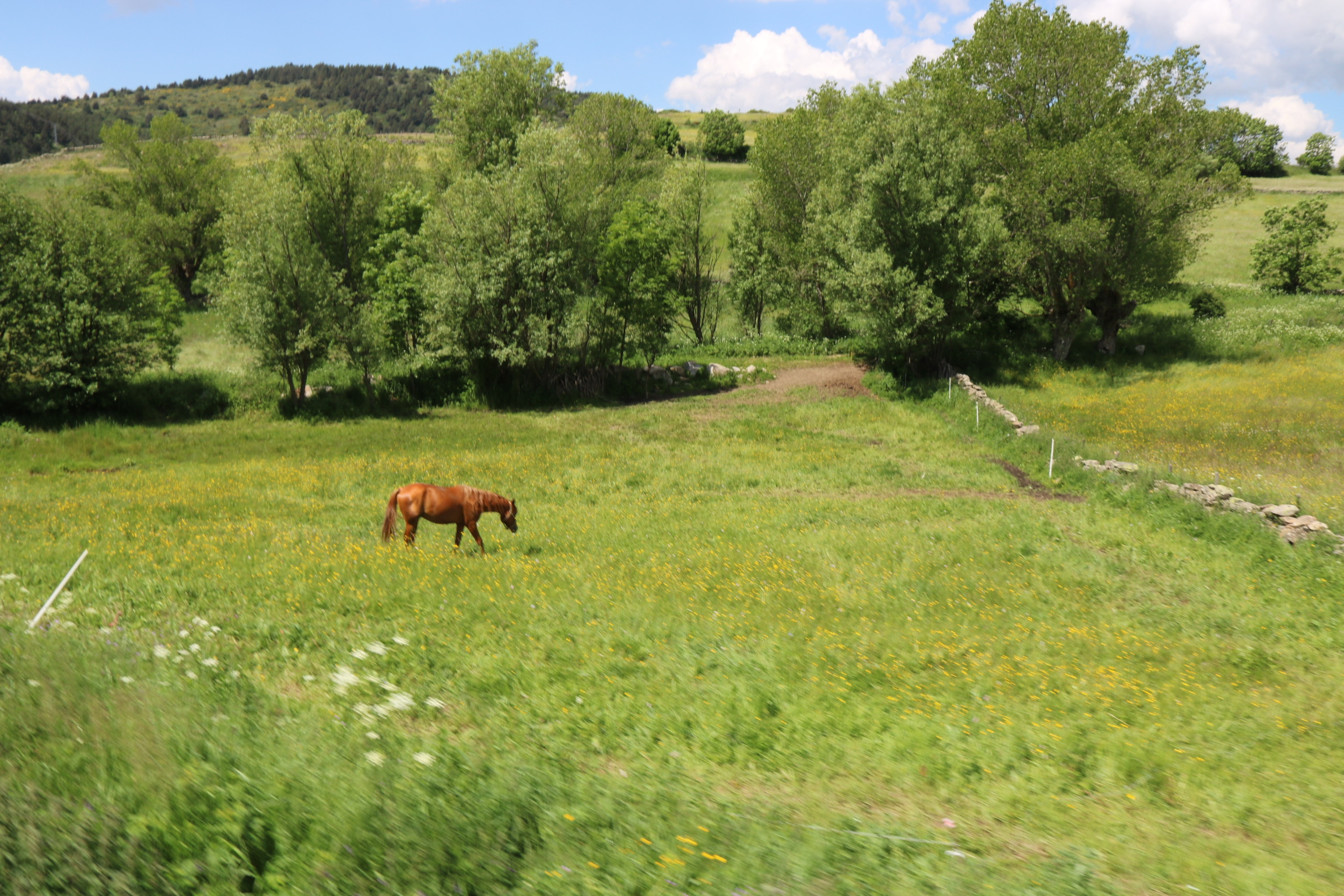 BEDE9BD4-B6F2-46B6-B175-998EC18AEABC