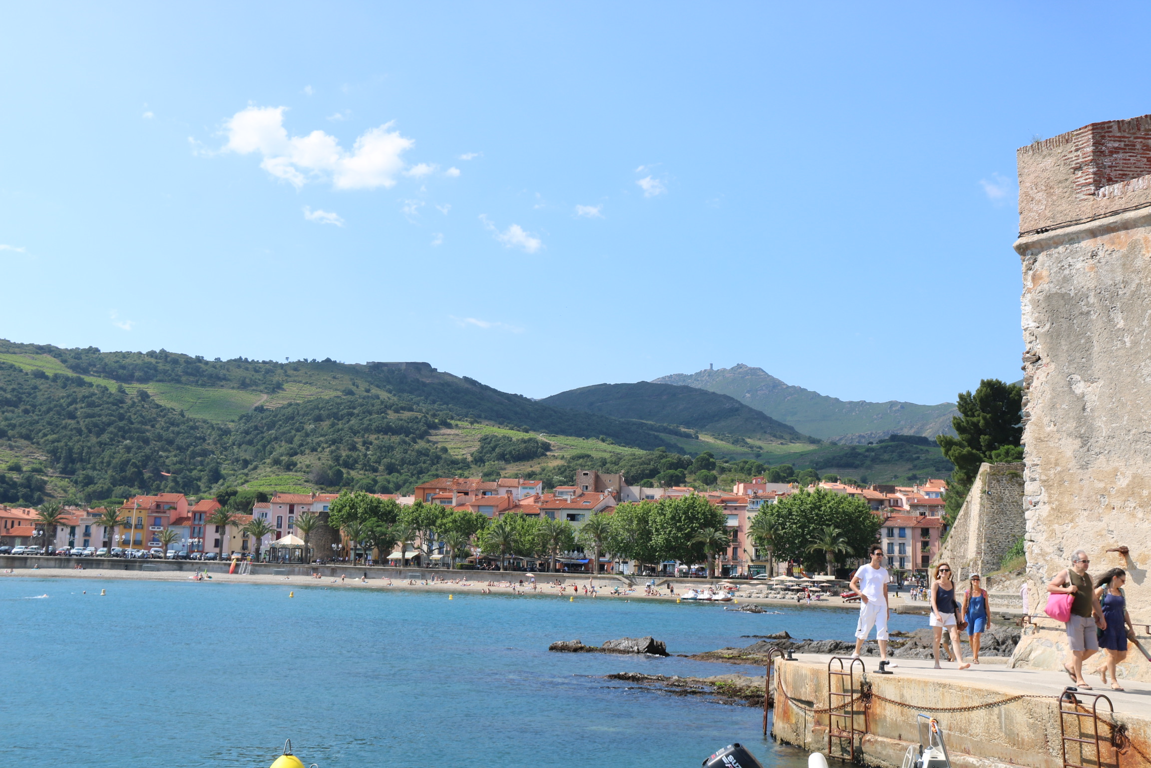 C24DC0D5-A433-415D-A5CB-3B3CCDA376BA