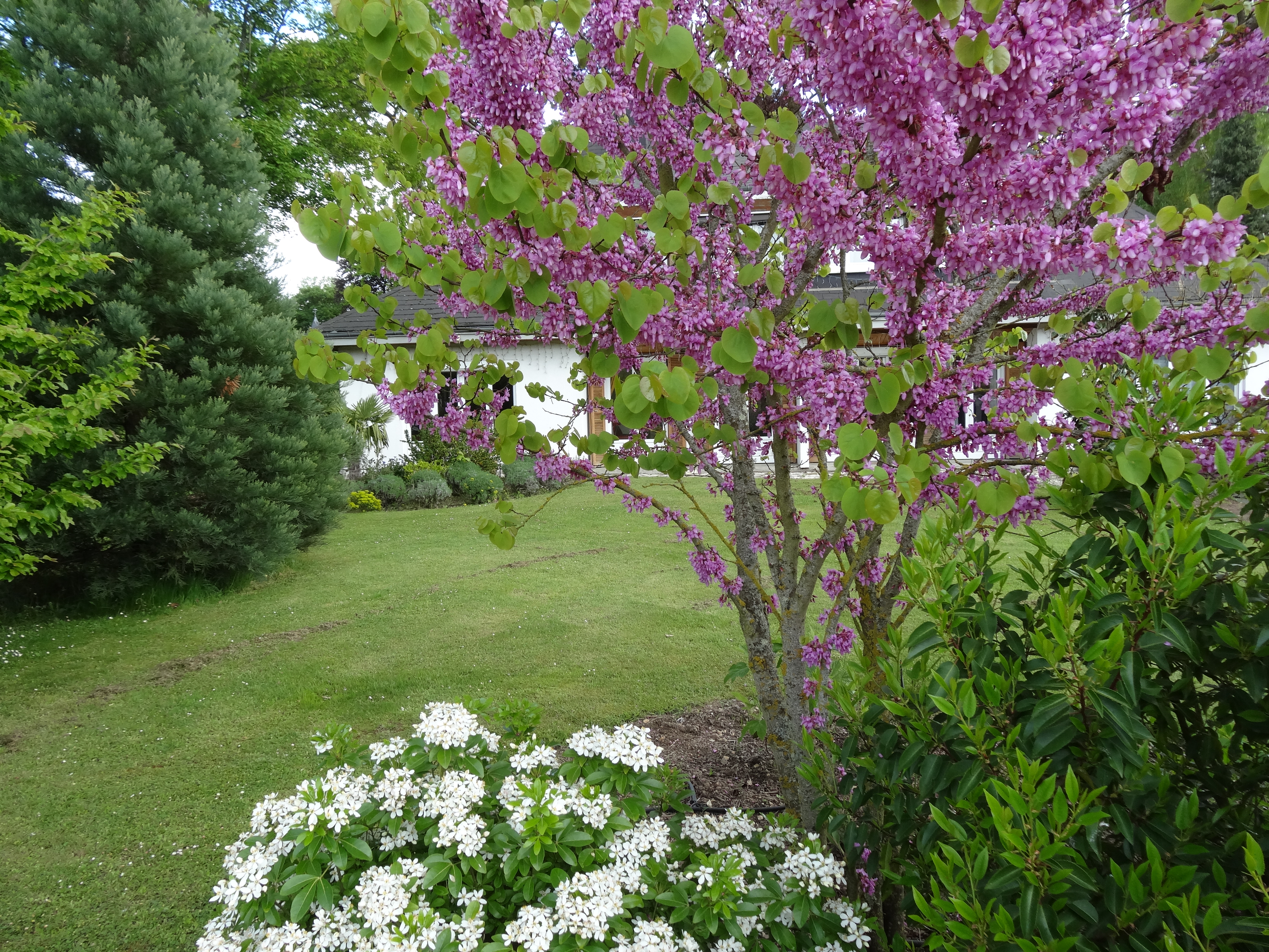 3B4C6DD1-5FF5-4C41-8407-E404EB5D7EAC