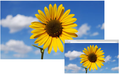 image-optimization
