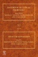 Download Book Vestibular Schwannomas - E-Book - PDF