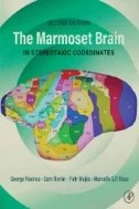 Download Book The Marmoset Brain in Stereotaxic Coordinates - E-Book - PDF