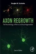 Download Book Axon Regrowth : The Neurobiology of Nerve and Axon Regeneration - E-Book - PDF